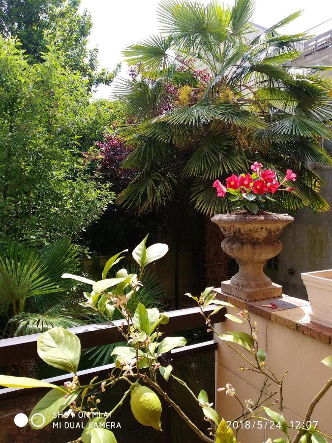 Appartement Charmant A Alfortville 30M² Terrasse Et Jardin Екстериор снимка